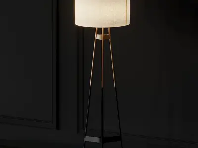 BRACE OMBRE FLOOR LAMP CB2 Exclusive 3D model