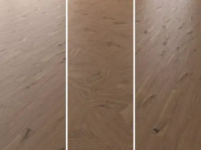 Parquet Oak Vergne Wild Wood set 7 3D model