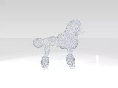 Poodle Wireframe 3D model