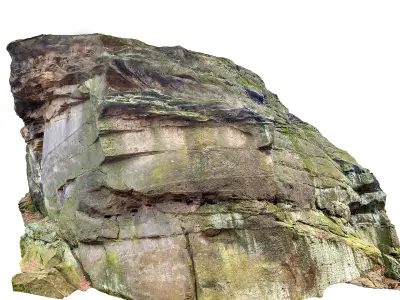  Stone Forest 15 PACK 