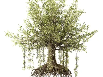 Banian tree 3D model