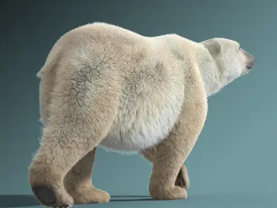  Polar Bear(FUR)(ANIMATED) 