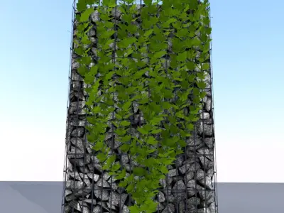 Vines and Gabion Version 3 Low-poly 3D model