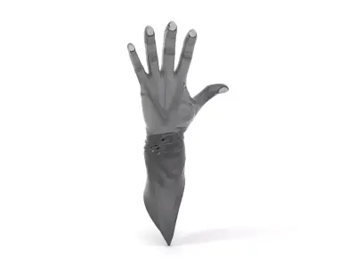 Futuristic Black Glove with Symbol Model Pack Low-poly 3D model