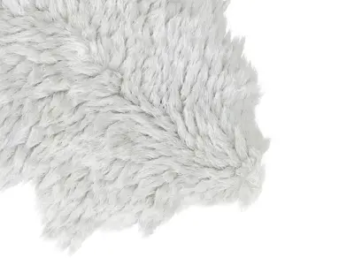 Soft Sheepskin Rug 3D model