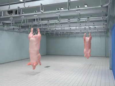  Pork Carcass Cold Storage Room with Hook Rail 