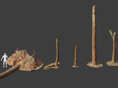  HQ Pine Tree Trunk Stump Scanned Collection Processed Low-poly 3D model