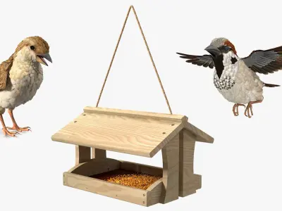  Bird Feeder with Sparrows Collection 