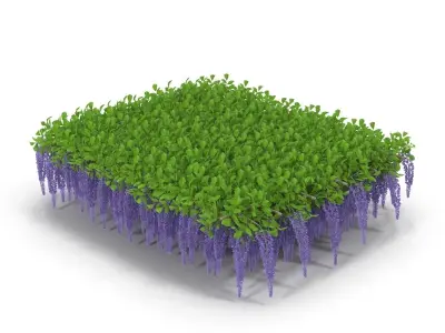 Wisteria ceiling 3D model