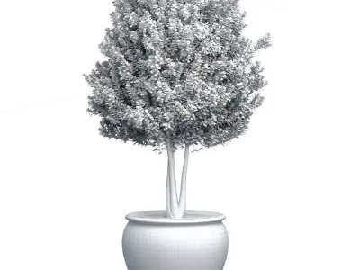 Decorative garden tree lilac flowers potted vase Provence style 3D model