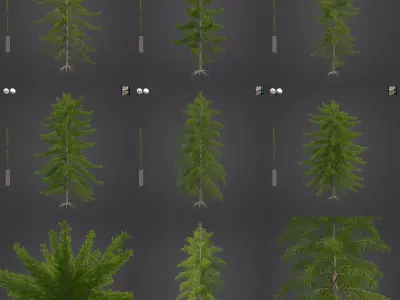 2021 PBR European Larch Collection - Larix Decidua  3D model