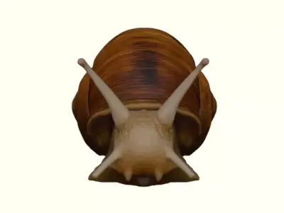 Woodland Garden Snail 3D print model