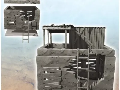 Ruined post-apocalyptic house with roof terrace and access ladde 3D print model