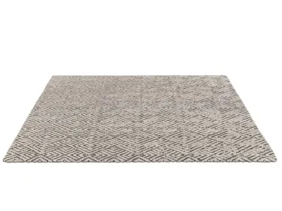 TALSARI HAND-KNOTTED SILK and WOOL RUG 3D model