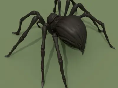 Fantasy Spider 3D model