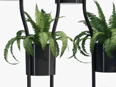 Para vert one 3D model