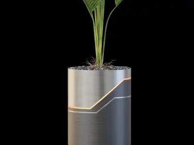 Plants collection 874 3D model