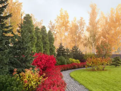 Plants Collection 2 3D model