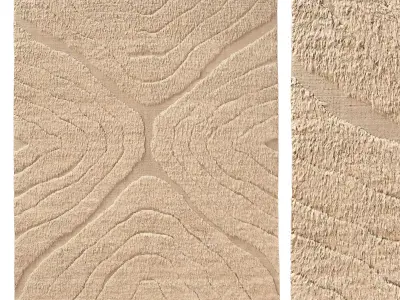 TARRAS WOOL RUG B 3D model