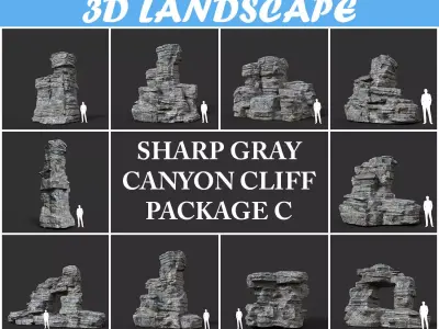 Low poly Gray Cliff Rock 200915 Pack C Low-poly 3D model