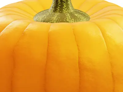 pumpkin 3D model