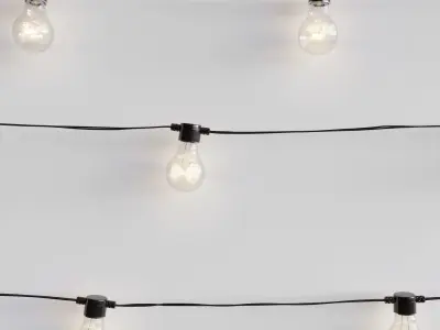 Garland and Bulb String 3D model