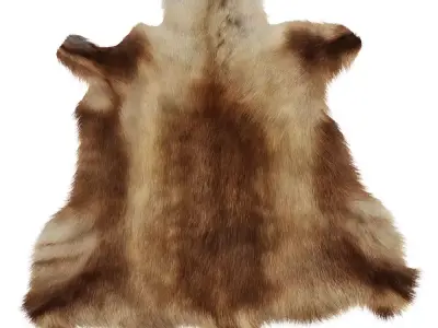 Reindeer Hide 3D model