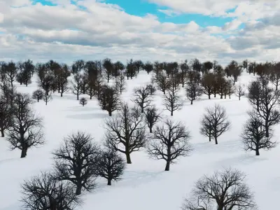 animation winter forest ver-1-0 3D model