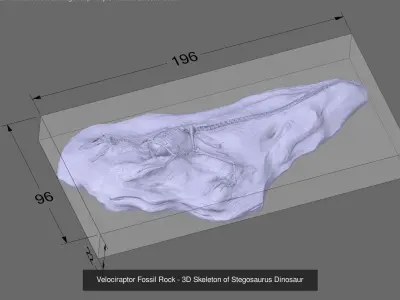 3D Dinosaurs Skeleton Bones 3D Model Pack