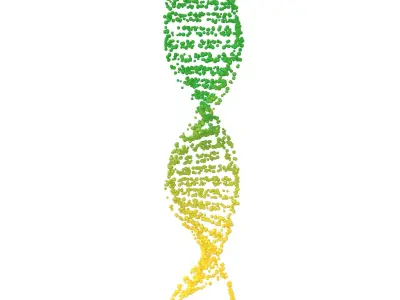 DNA Molecule v4 012 3D model