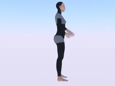 AVA Skeleton Low-poly 3D model