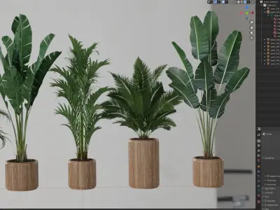  Plants collection 539 