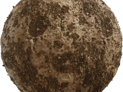 Dried Mud with Pebble Patches Texture