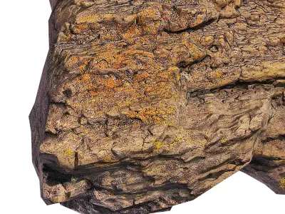 Petrified Wood 1 Low-poly 3D model