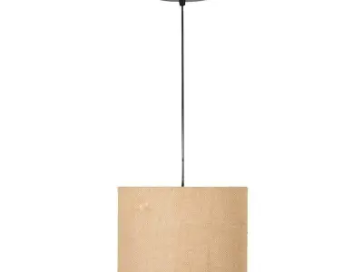 Hanging light for living room 3D model