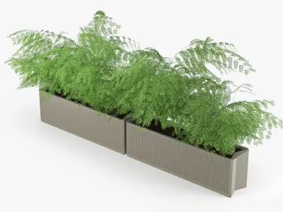 Flowerbed terracotta 3D model
