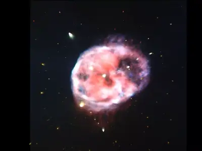 Skull Nebula 3D model