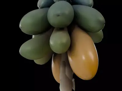 Realistic Hanging Papayas 3D model