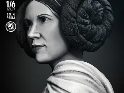 STAR WARS Leia New Hope Sculpture 3D print model