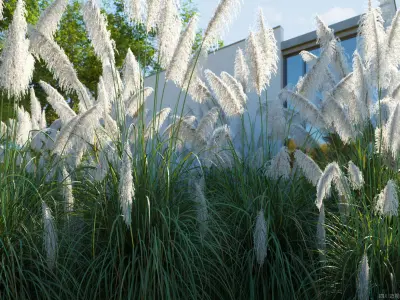 Maxtree Plant Models Vol 139 - Mesh 3D model