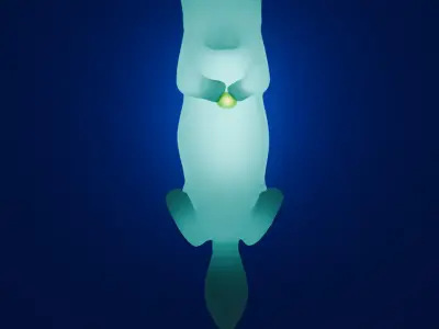 Sea Otter Indirect Lighting 3D model