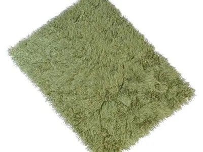 Carpet fur rug 3D model