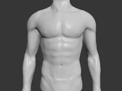 Male Mannequin Torso 3D model
