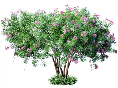 Outdoor garden plant tree shrub flower bed with lilac flowers 3D model