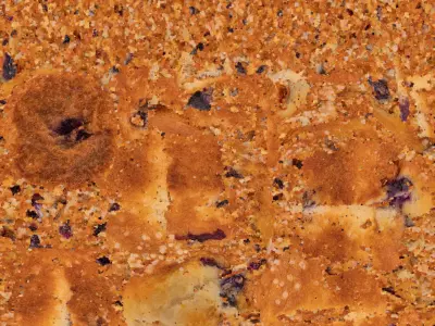 Blueberry Muffin 3D model