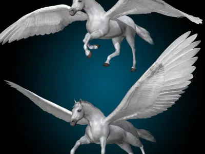  Pegasus 