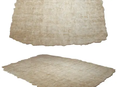  Altelier fern Carpet Low-poly 3D model