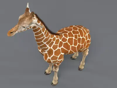 Giraffe Rigged 3D model