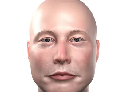Elon Musk skin textured 3D portrait  Low-poly 3D model