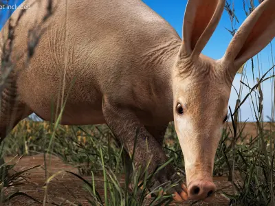  Orycteropus Afer Walking Animated Rigged for Maya 